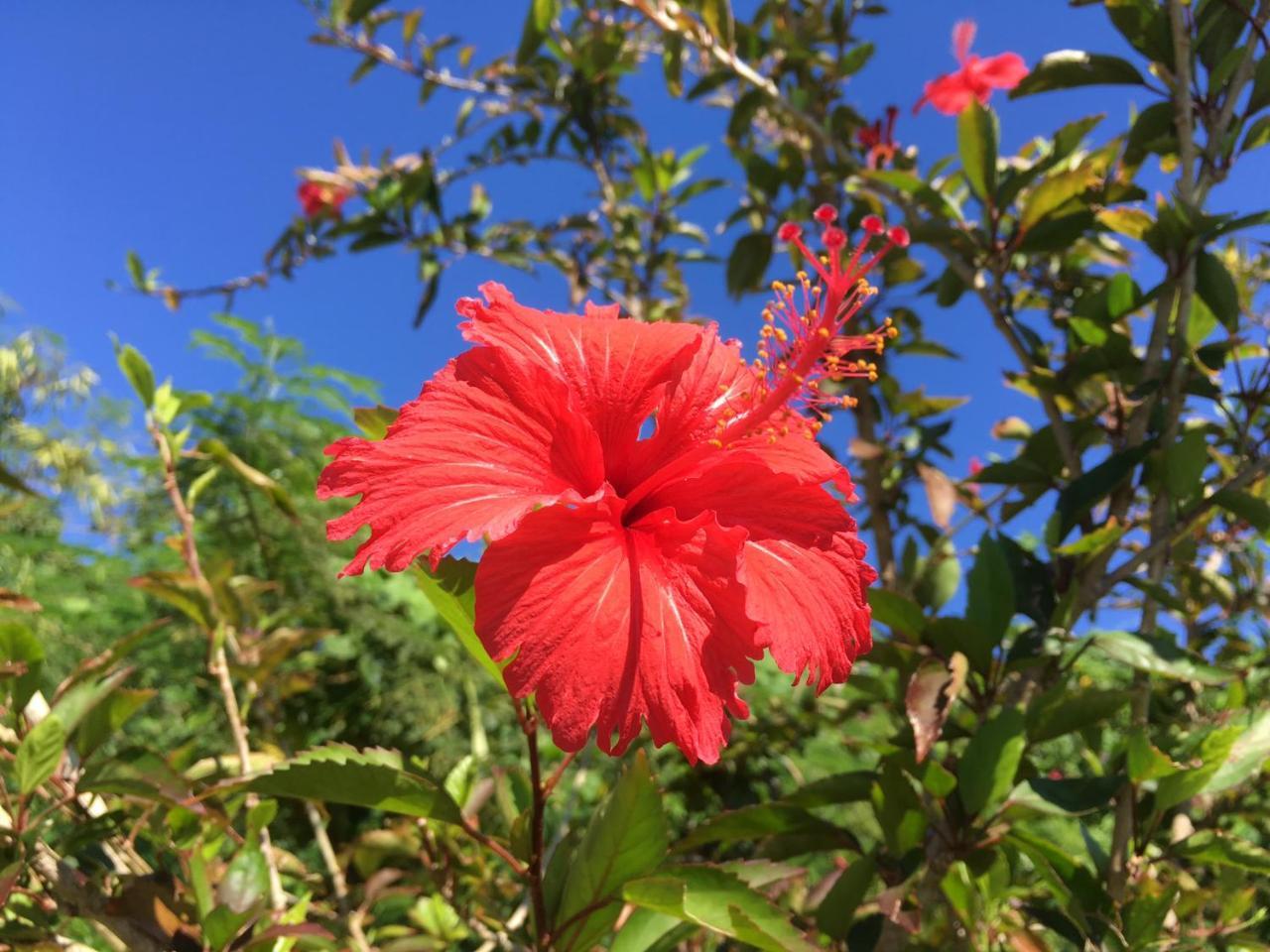 Yoisama Sunrise Beach House Ishigaki  Екстер'єр фото